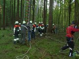 Maibaum_2016 (25).JPG